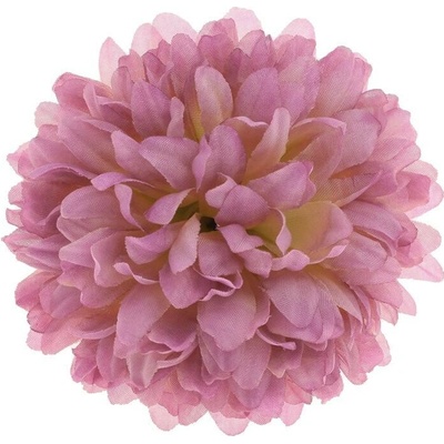 HLAVA CHRYZANTÉMA 10 CM BAL.12KS RUŽOVÁ