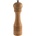 APS 40576