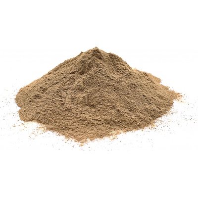 FromNature BIO Amalaki Amla prášek 100 g – Hledejceny.cz