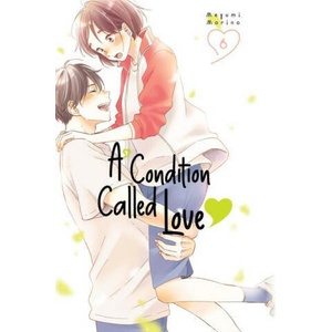 A Condition Called Love 6 (ISBN: 9781646517619)