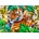 Bluebird Puzzle - Puzzle Into the Shadows - 300 piese