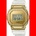 Casio GM-5600SG-9