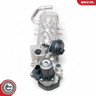 AGR - Ventil ESEN SKV 14SKV094