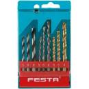 Festa 20317