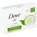 Dove Go Fresh Restore hydratačné mydlo 100 g