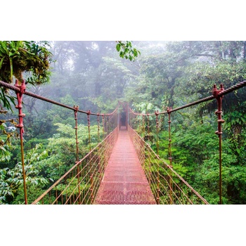 DIMEX ART s. r. o Флизелинов фототапет мост в дъждовната гора 375 x 250 см