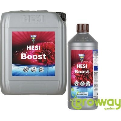 HESI Boost 1 L