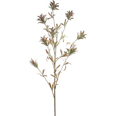 Javor (Acer) (větev/listy) spray růžový V119 cm