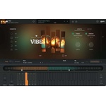 UJAM Vibe (Дигитален продукт)