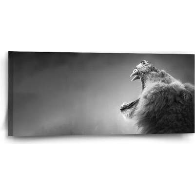 Sablio Obraz Revúci lev - 110x50 cm