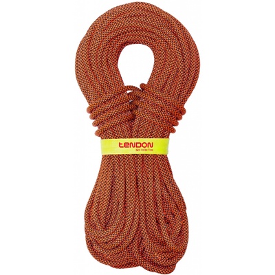 Tendon Indoor 9.8 / Standard / 40 m