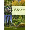 Jehličnany