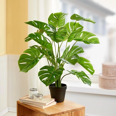 Die moderne Hausfrau Die moderne Hausfrau Umelá kvetina Monstera