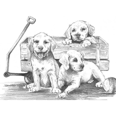 Malování podle čísel SKICOVACÍMI TUŽKAMI Štěňátka s vozíkem