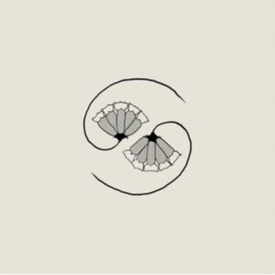 GODSPEED YOU! BLACK EMPEROR - G LP