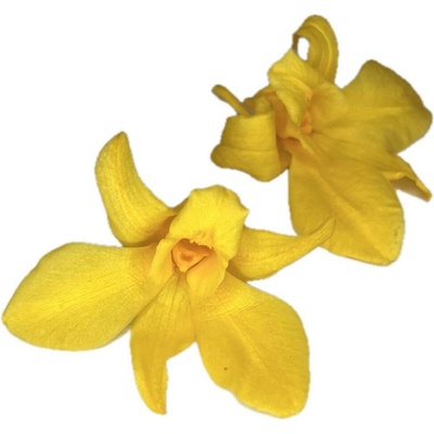Stabilizované kvety Orchidea Dendrobium - žlté