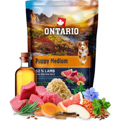 Ontario Puppy Medium Lamb & Brown Rice 0,1 kg