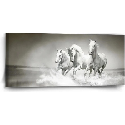Sablio Obraz Biele kone - 110x50 cm
