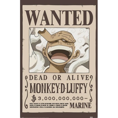 Plagát, Obraz - One Piece - Wanted Luffy, 61 × 91.5 cm
