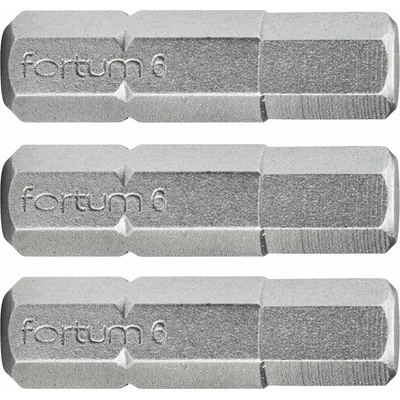 Fortum H5x25 mm 3 ks 4741506
