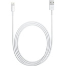 Apple MD818 Lightning, Datový