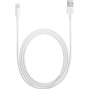 Apple MD818 Lightning, Datový