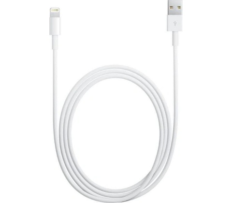 Apple MD818 Lightning, Datový