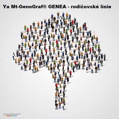 Y+ Mt Genograf Genea test test určený pre muža
