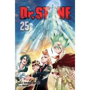 Dr. STONE, Vol. 25 (ISBN: 9781974736317)