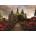 Ravensburger - Puzzle Impressive castles and chateaux: Rosenborg, Denmark - 1 000 piese