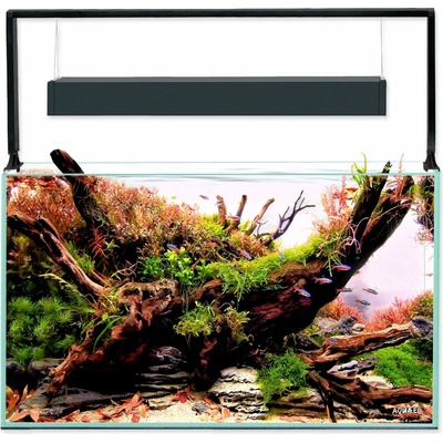 Aquael Ultrascape 60 Forest 64,8 l