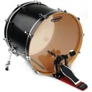 Evans 22" Genera G2 Clear