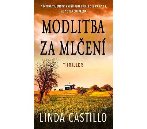 Modlitba za mlčení