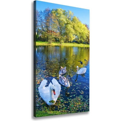 Vertikálny foto obraz na plátne Labute na jazere 50x100 cm