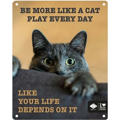 EBI D&D kovová tabuľa: ,,Be more like a cat play every day\" 20 x 25 cm