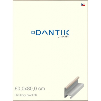 DANTIK rám na obraz 60 x 80 Dýha slovnová kost
