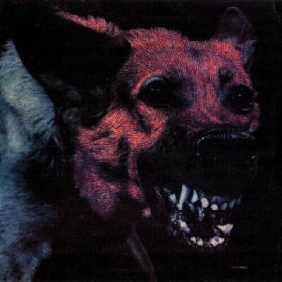 Protomartyr - Under Color Of Official Right (Limited Edition) (LP) (0098787308112)