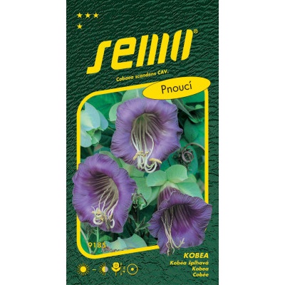 Semo KOBE - gazánia modrofialový Blue Bell 0,7g