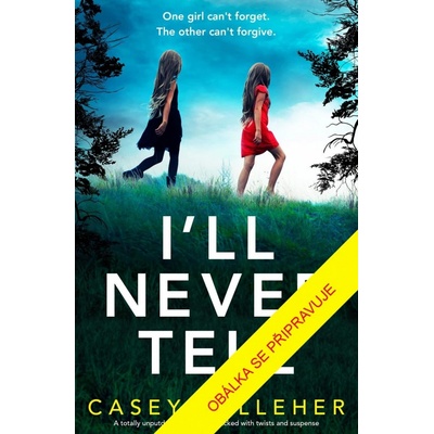 Nikdy nepovím - Casey Kelleher