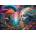 Bluebird Puzzle - Puzzle Rainbow Forest - 1 000 piese