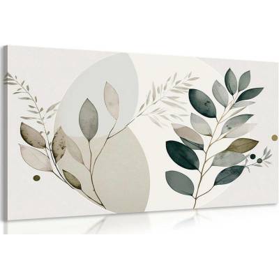 Obraz boho rostlinky v kruhu - 30x20