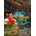 Northern Tale 2