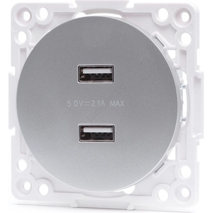 Aigostar - безрамкова USB захранваща розетка 2x USB-A сребриста (AI2912)