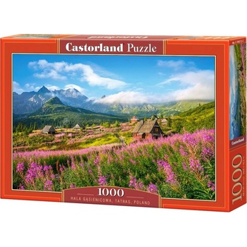 Castorland Hala Gąsienicowa, Tatras, Poland 1000 pcs Пъзел 1000 броя Пейзажни (GXP-703111) (GXP-703111)