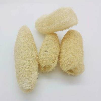 Luffa celá velká - bělená - SU0637