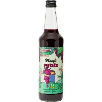 Nature Notea Babiččin sirup Černý rybíz 0,5 l