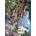 Bluebird Puzzle - Puzzle Coastal Garden - 500 piese
