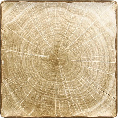 RAK Porcelain Woodart talíř čtvercový 30 x 30 cm mechově zelená RAK-WDEDSQ30MG