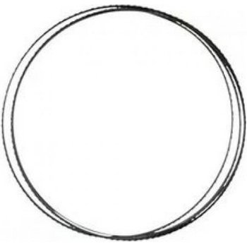 RYOBI RAKBS6TPI 6 TPI Pilový pás do pásové pily