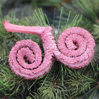 Palm ring - frosted red - SU0988